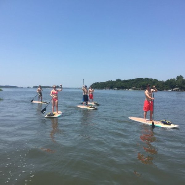 five paddle boarders by the island