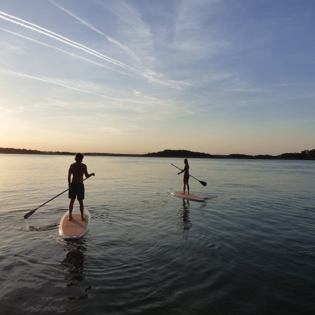 Two paddle boarders with shore in the distance