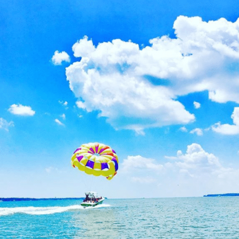 A yellow, and purple parasail above a speeding boat