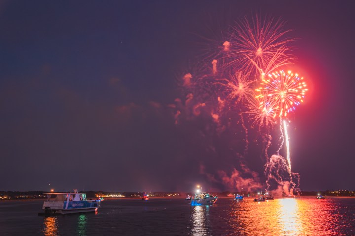 fireworks in the night sky