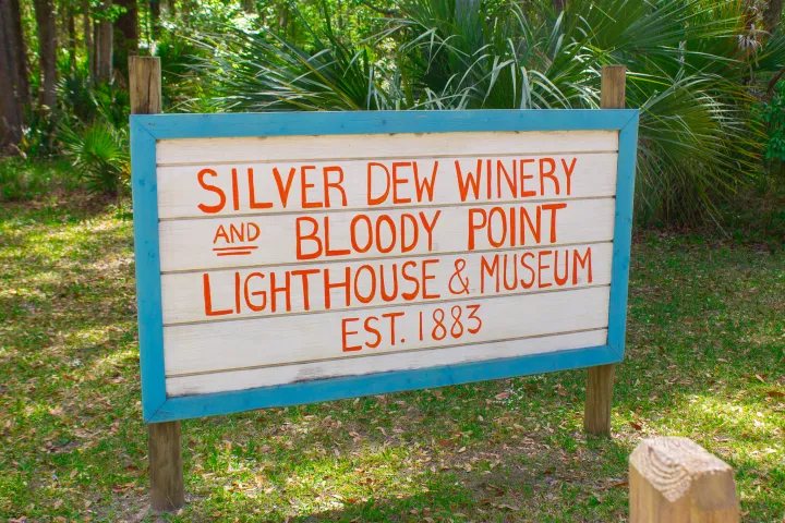 a blue sign sitting in the grass