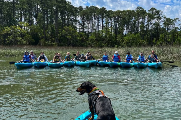 a group of people in a pool of water