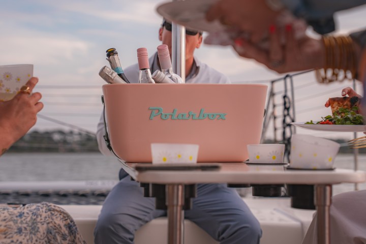 a person holding a cell phone