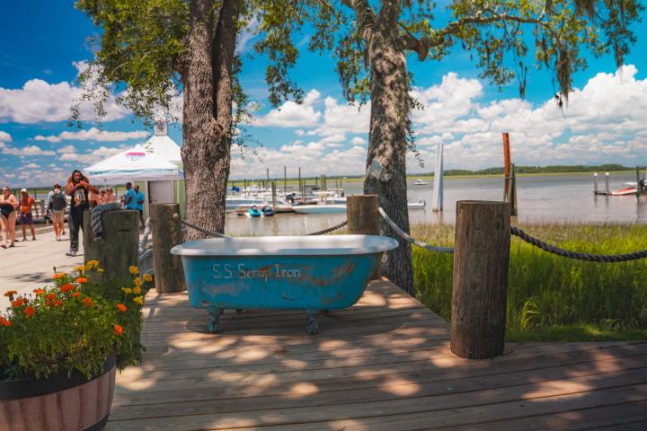 a group of palm trees on a beach