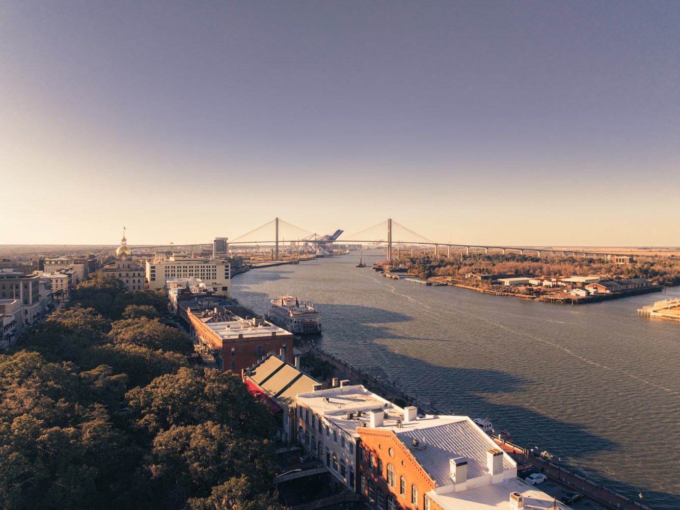 River view with city buildings, trees, and a large cable-stayed bridge.